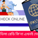 ভিসা চেক
